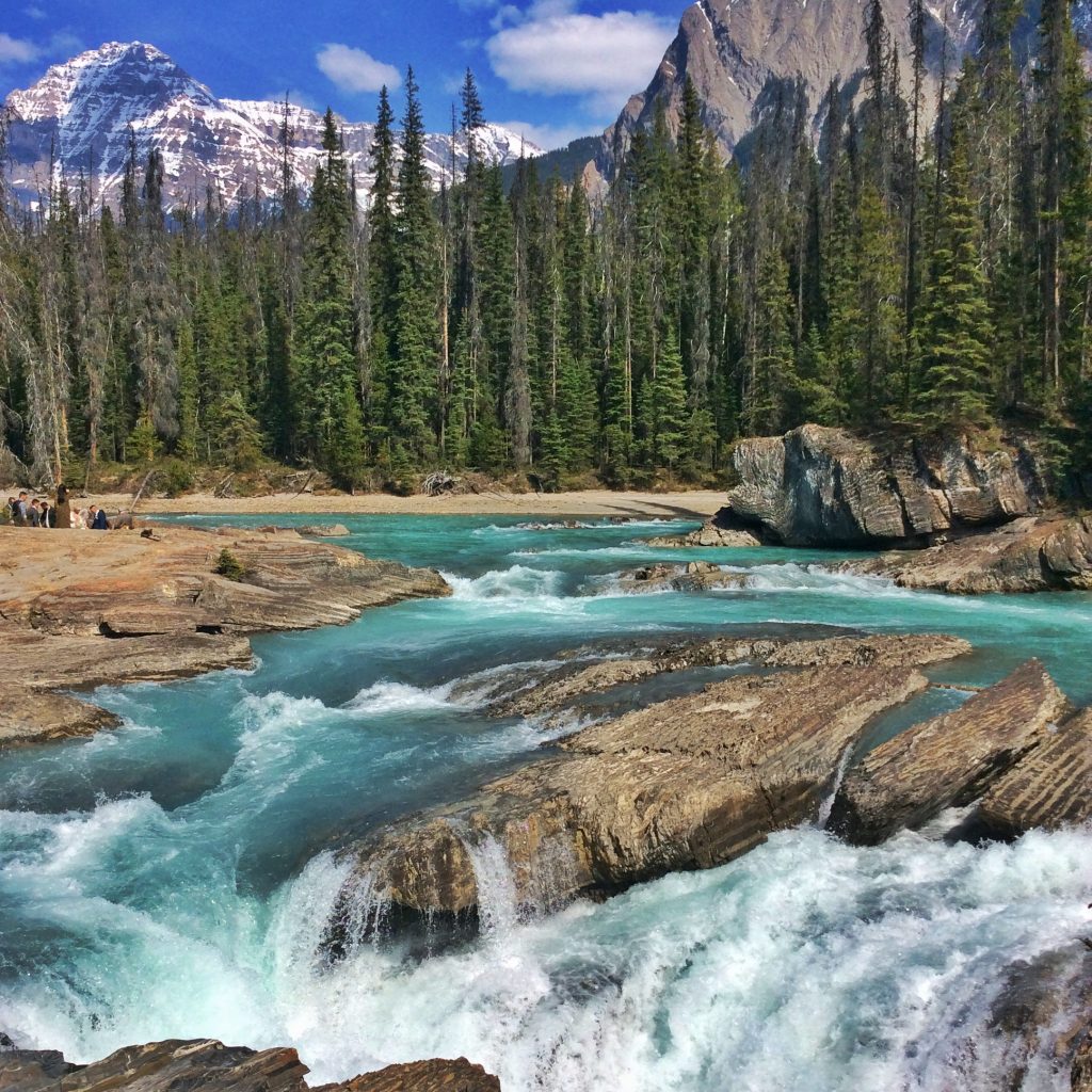 5 instaworthy stops along the Icefield Parkway - Fernweh